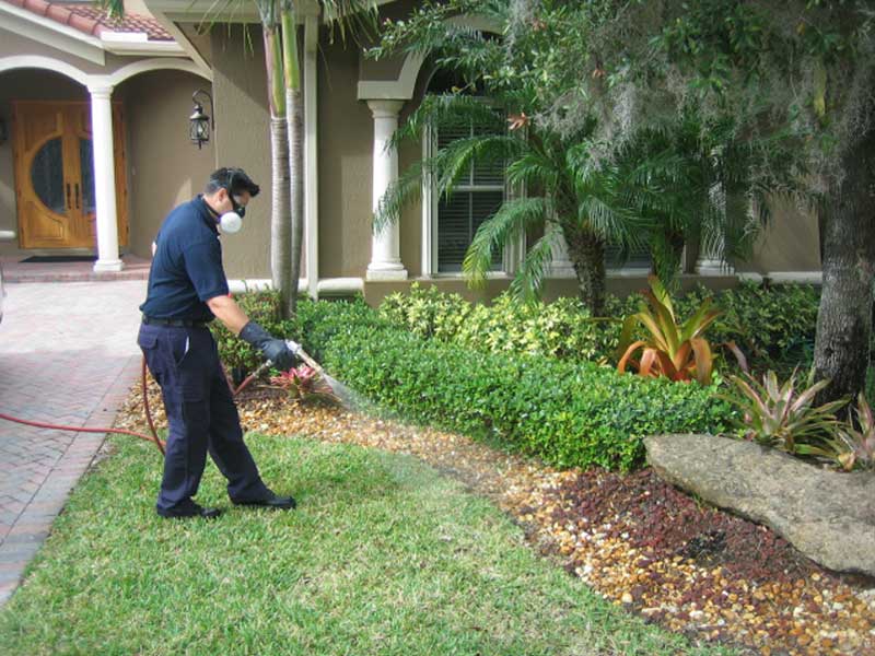 PEST CONTROL SERVICES