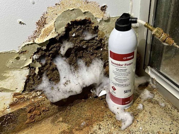 TERMITE SPOT TREATMENTS